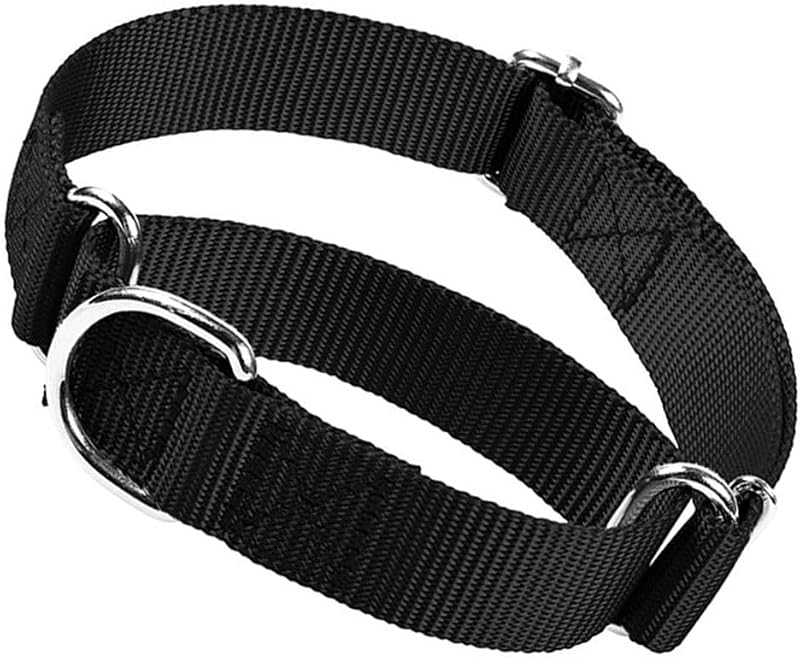 Coleira Martingale para Cães em Nylon com Argola Metálica Hotlion SY3118 – Tamanho Ajustável