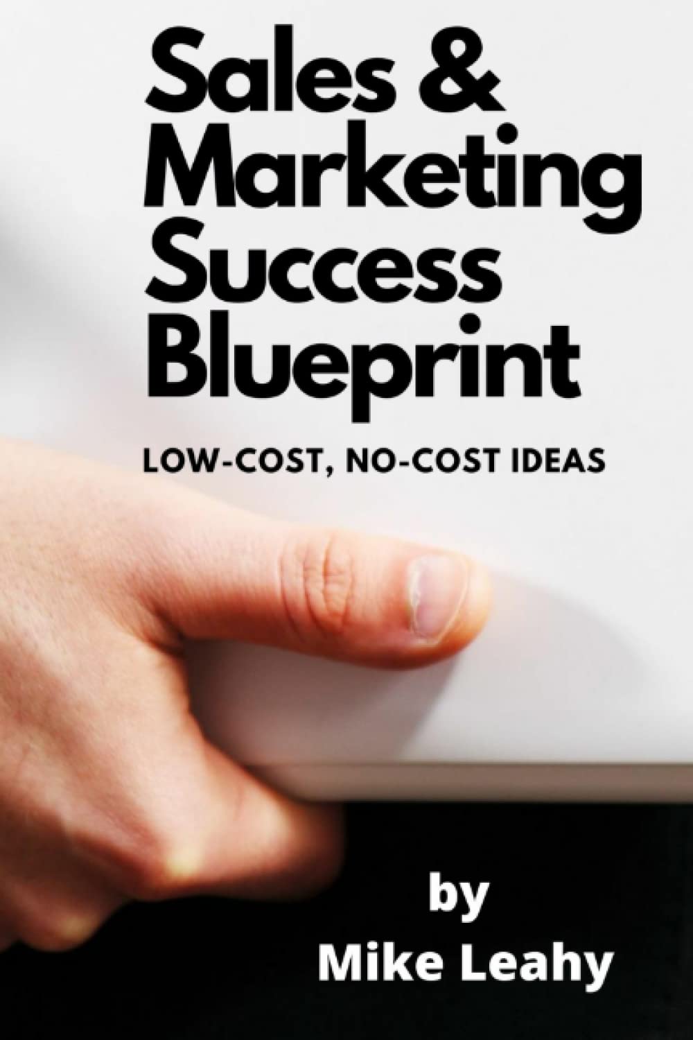 Sales and Marketing Success Blueprint: Low-cost, No-cost Ideas that Work