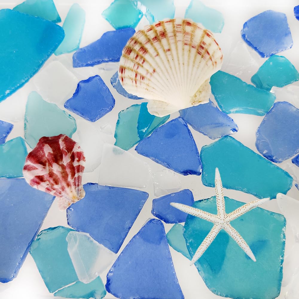 G&S homedeko White Seablue Dark Blue Sea Glass 10oz Bulk Mix with 2 Pieces Seashells - Genuine Beach Tumbled Glass Pieces for Crafts, Vase Filler, Coastal Home Decor, DIY Projects,Gift Filling