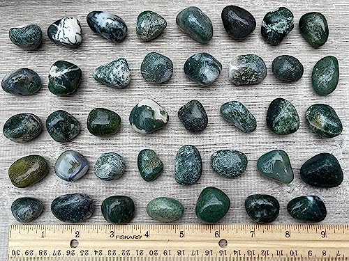Image of 1 /2 LB Moss Agate Tumbled Stones, Polished Natural Moss Agate Gemstone, Moss Agate Healing Crystals (Moss Agate)
