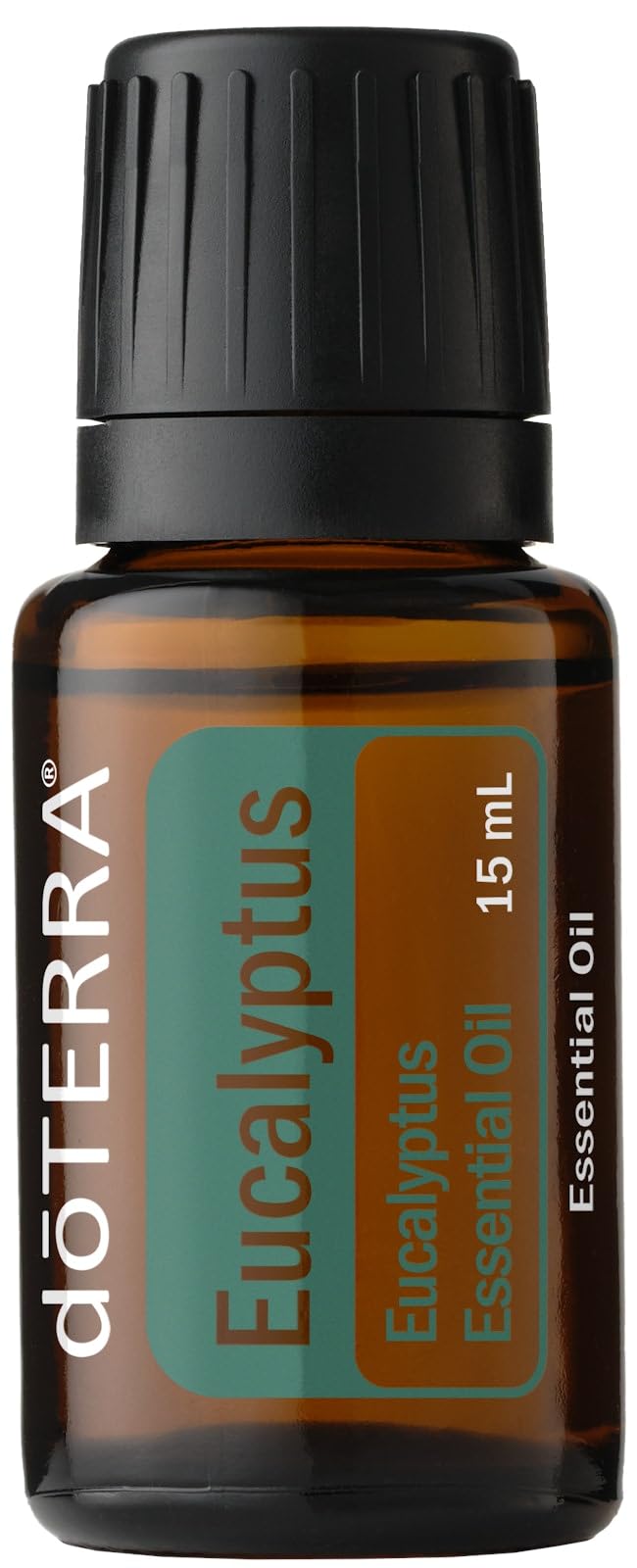 Amazon.com: doTERRA Eucalyptus Radiata Essential Oil - 15 mL