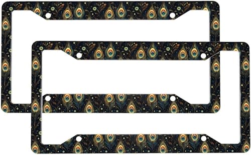 2 Pcs Car License Plate Frames for Women Men - Vintage Feather Eyes Print Aluminum Solid License Plate Cover for Car Accessories for Women Men with