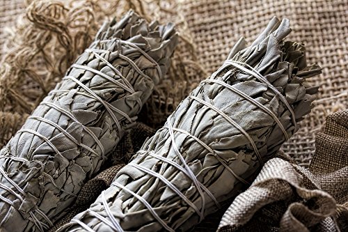 2 Pack - Sticks Médio California White Sage borrar, Cada vara Aproximadamente 6 polegadas de comprim