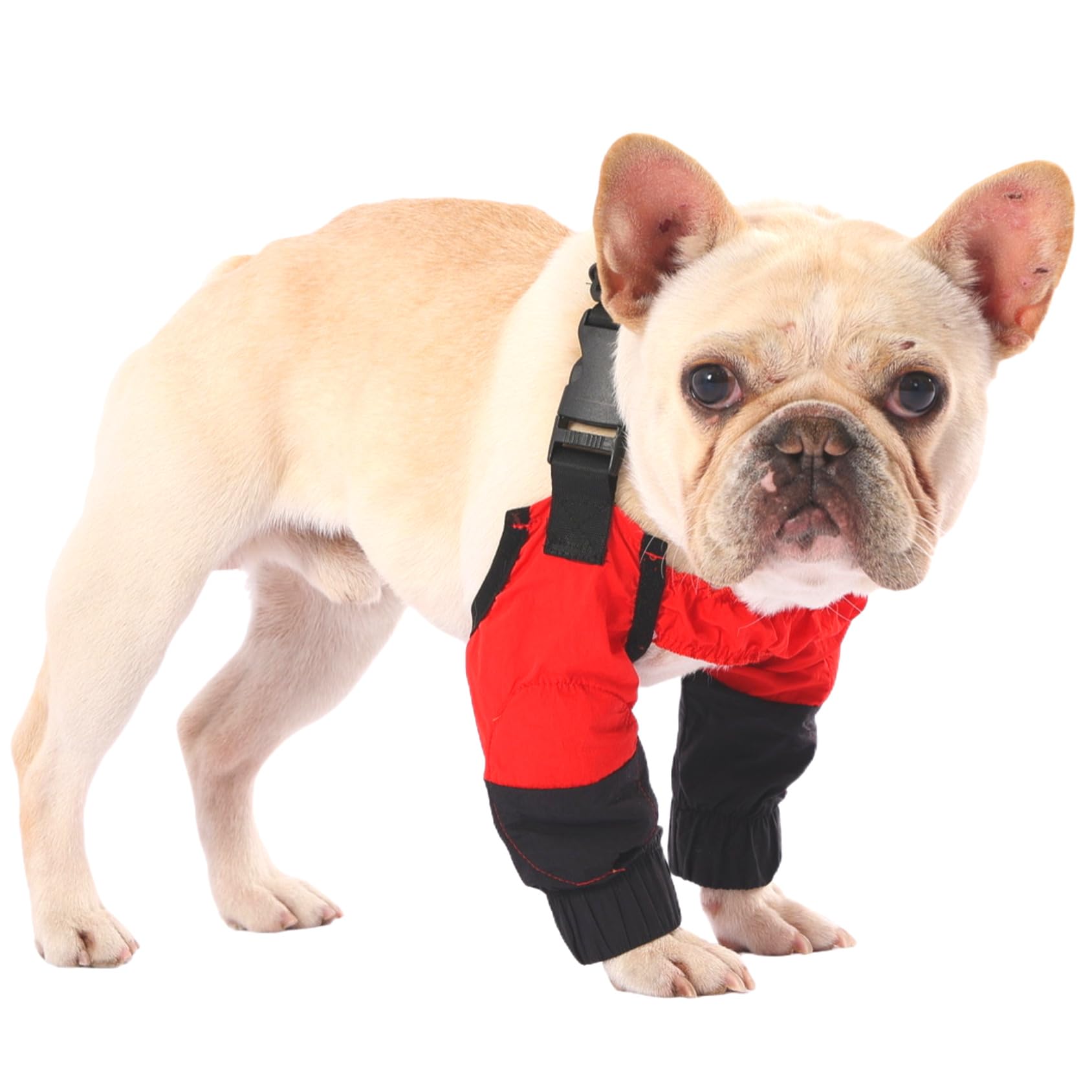 PetWarm Dog Front Leg Sleeves, Waterproof, Knee Protector, Red, XXL — image 1