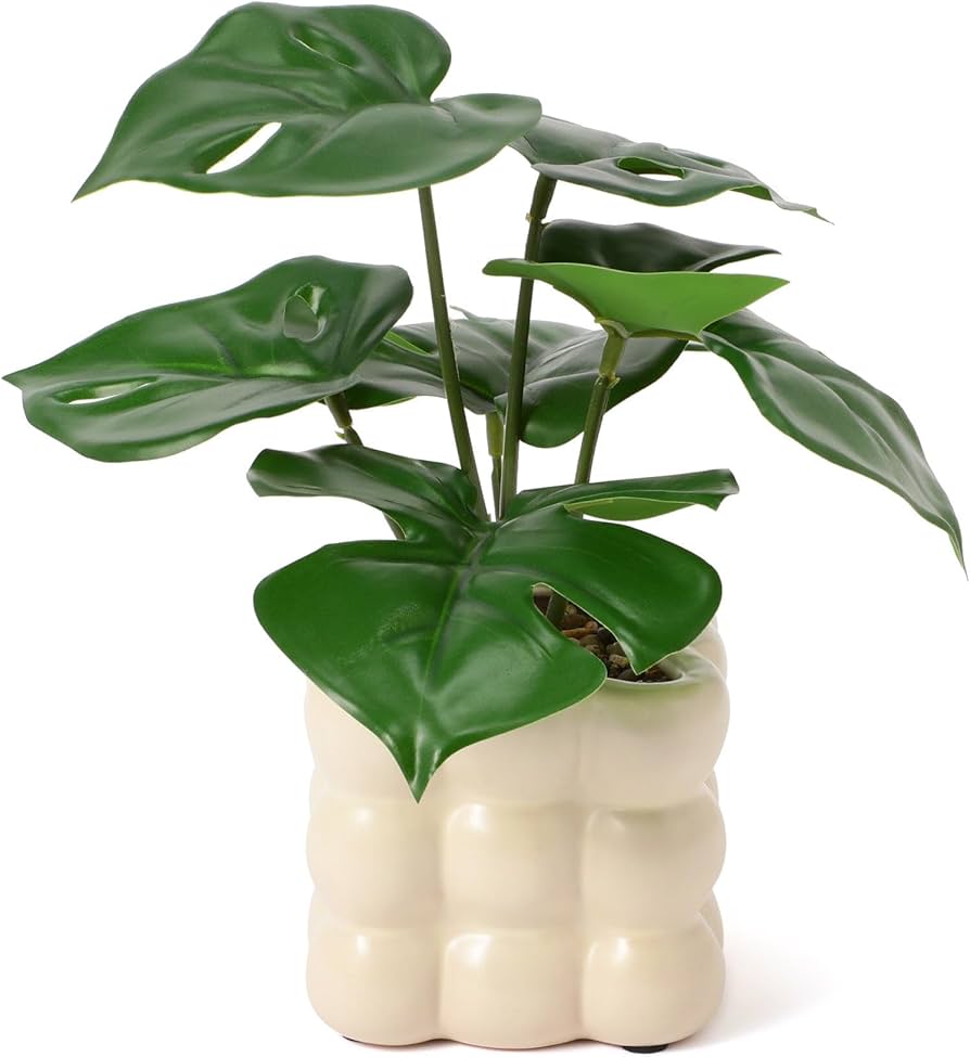 Amazon｜Francfranc フランフラン ポット付きアートグリーン