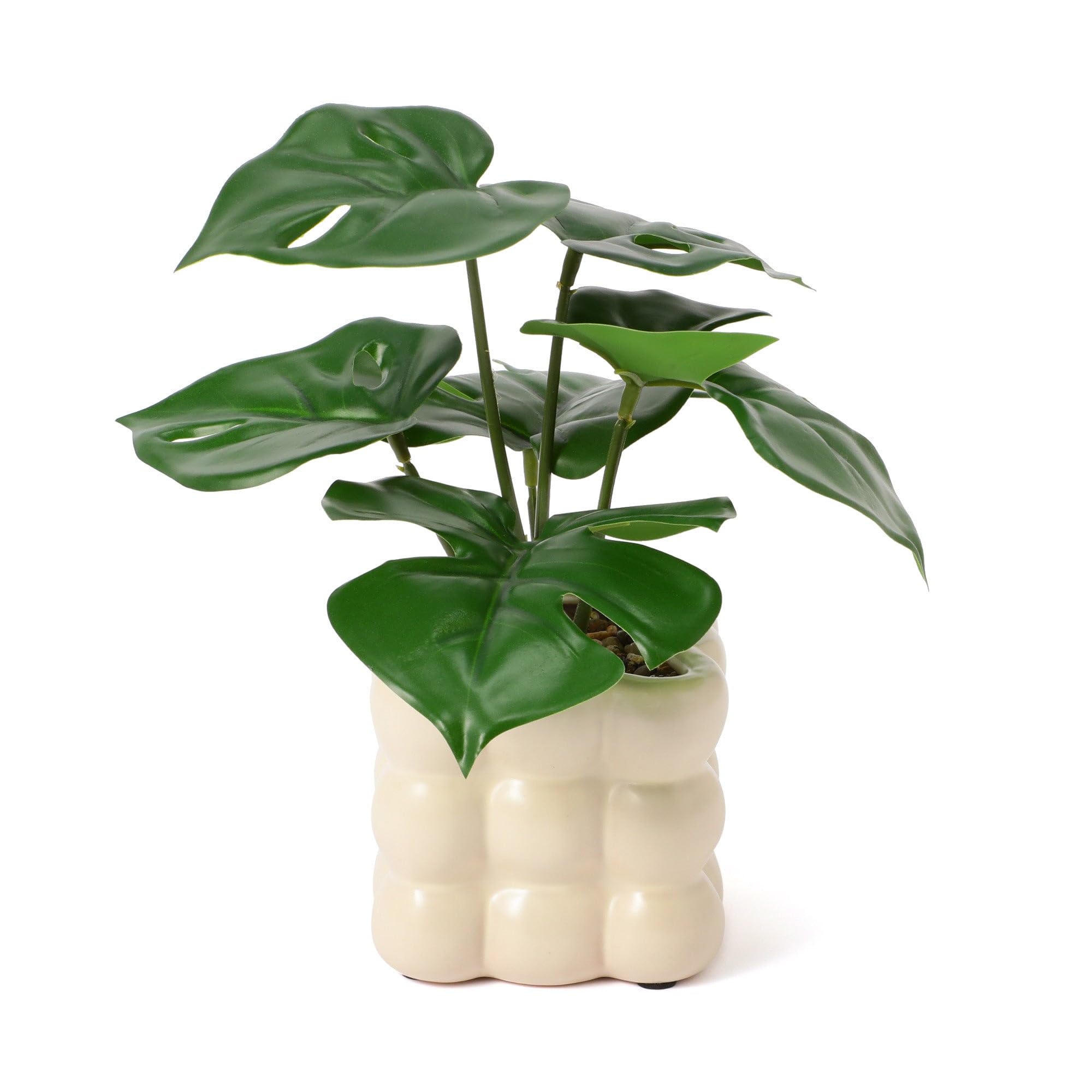Francfranc 植物モンステラのインテリアアート Francfranc 植物モンステラのインテリアアート