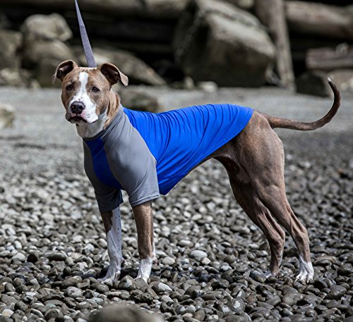 Canine Friendly 66701008 Solis UV Sun Protection Coverup Dog Shirt,...