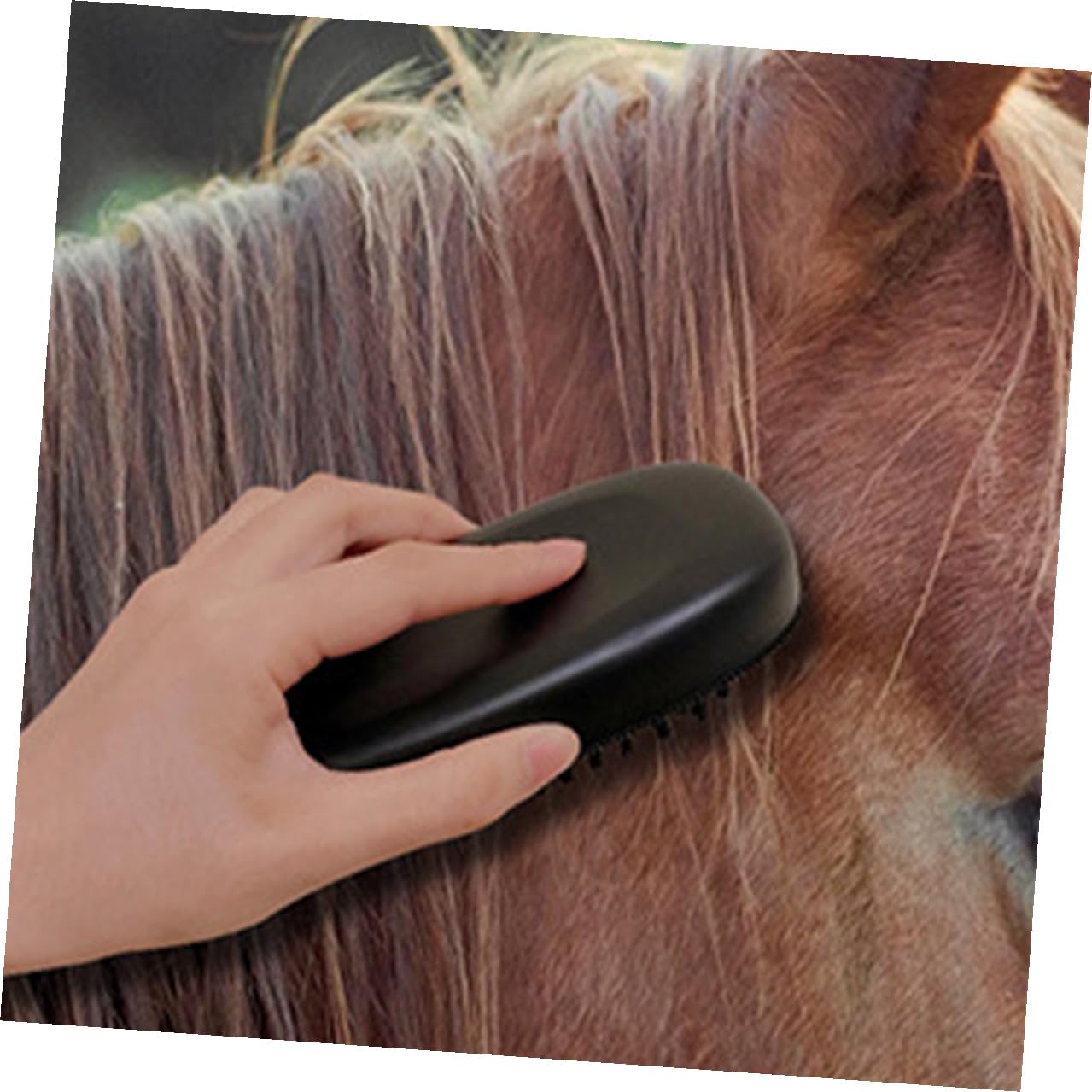 Beavorty Multipurpose Horse Grooming Brush with Handle, Livestock Hairbrush and Cattle Cleaning Massager, Pp Bristle Brush for Horse and Pet Fur Removal