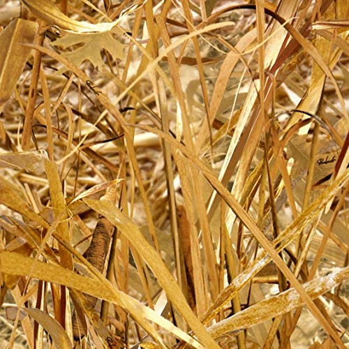 Water Transfer Printing Film - Hydrographic Film - Hydro Dipping- Pureland Dawn - HC-730-1-A