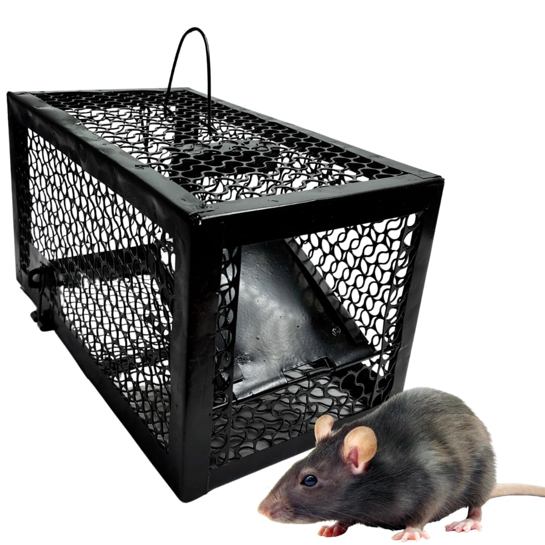 Desi Point Metal Rat Trap Cage for Rats | Chuha Pinjara | Fabricated Iron Rodent Catcher | Unbreakable Strong Mouse Trap for Garden, Home, Kitchen,Warehouse