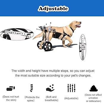 Amazon.co.jp: 犬用車椅子 M XL XXXL ペット用車椅子/犬用車椅子