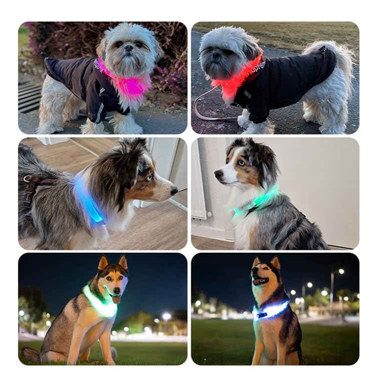 PAJ GPS Dog Tracker 4G Real-Time Tracking Device with Runaway Alerts and Light LED Glowing Dog Collar with 7 Color Modes and Waterproof Smart App Health Activity, Can Fit 7.8" to 27", Black — Bundle - image 3