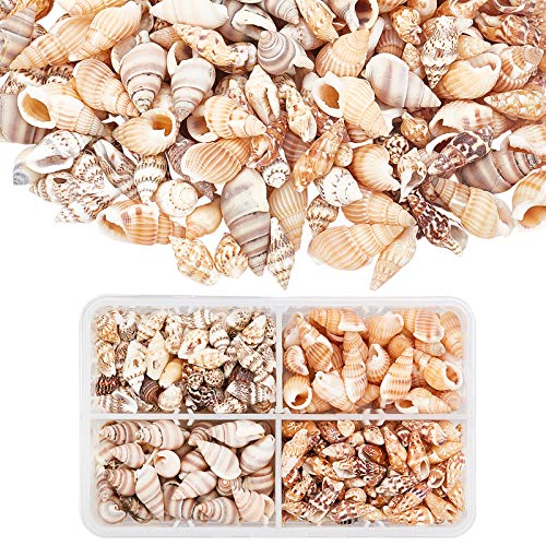 PandaHall Environ 330pcs Coquillages en Spirale Naturels 4 Modèles Coquillages Conque Océan Plage avec Trou et sans Trou pour Bracelet Bijoux, Artisanat, Décoration de la Maison, Aquarium, 70g