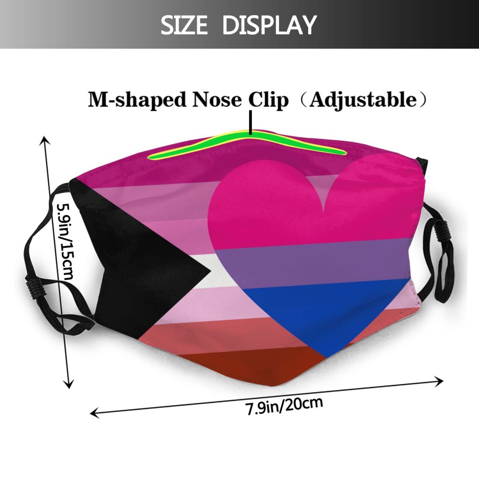 Demi-Lesbian Biromantic Pride Flag Mask Protect Respiratory System Breathe with Peace of Mind Black