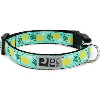 rc dog collars