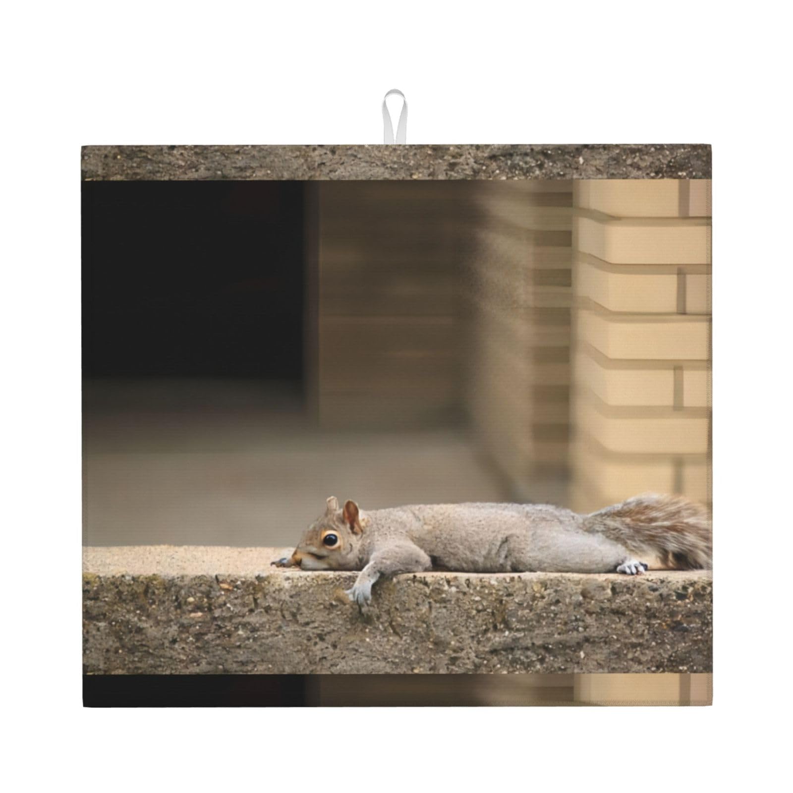 WHJSSF Squirrel Just Laying Prints Kitchen Drying Mat - Absorbent Dish Drying Throw with Colorful Prints, Quick-Dry Countertop Layer for Dishes & Appliances - Non-Slip & Foldable