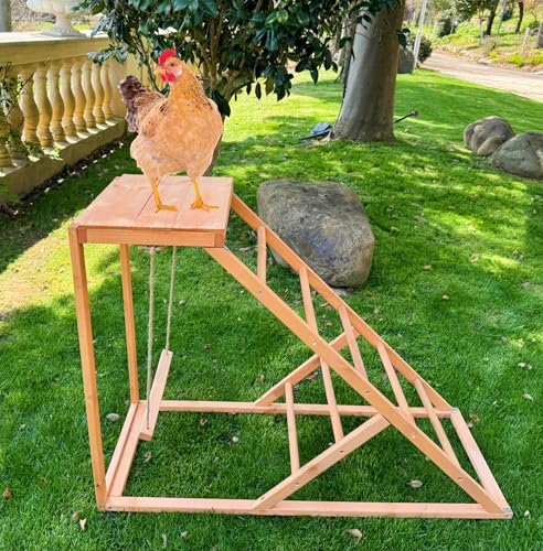 Image of Chicken Roosting Bars with Bird Swing, Ramp, Bars Toys for Pet's Health & Happy, Chicken Perch Easy to Clean, Exercise The Bird's Claws Suitable for Backyard Farms 38.11 X 15.75 X 27.95 (A)