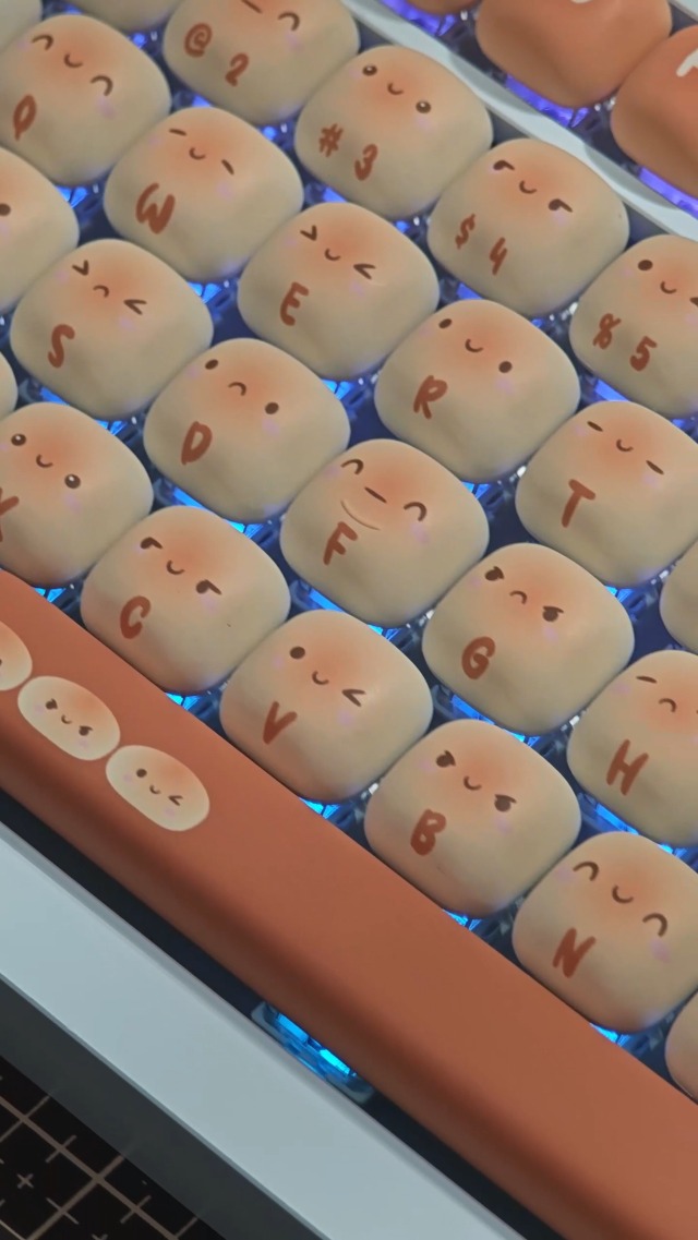 Amazon.ca: Akko