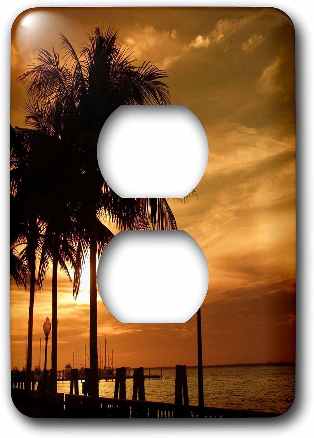 3dRose lsp_16855_6 Tropical Copper 2 Plug Outlet Cover