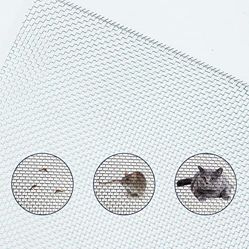 Grillage en acier inoxydable durable de maille 20 antirouille 1x10m