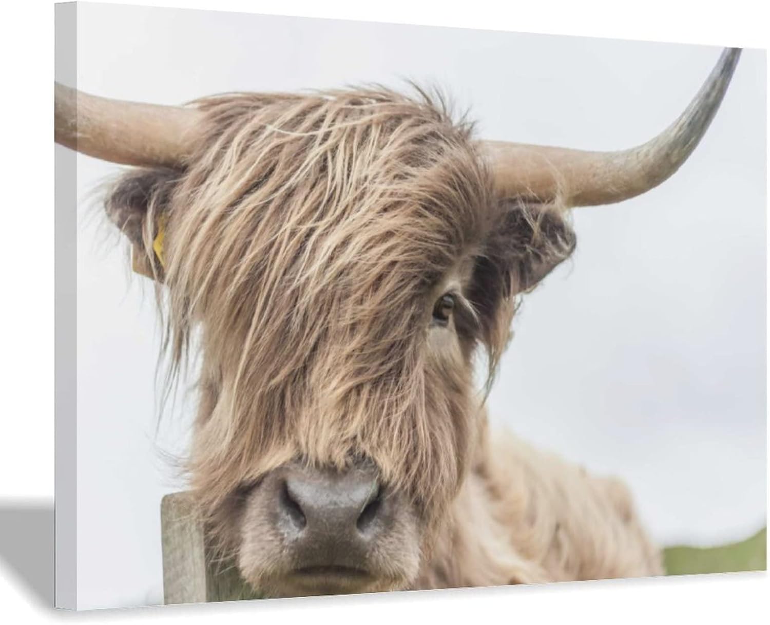 Amazon ヤク動物の絵画ポスターポスターとプリントリビングルームの絵画壁アート装飾 ウォールステッカー オンライン通販 Amazon ヤク動物の絵画ポスターポスターとプリントリビングルームの絵画壁アート装飾 ウォールステッカー オンライン通販