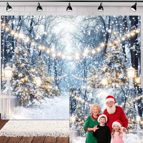 Winter Snowy Scene Forest Scene Backdrop Christmas Wonderland Snowflake Xmas
