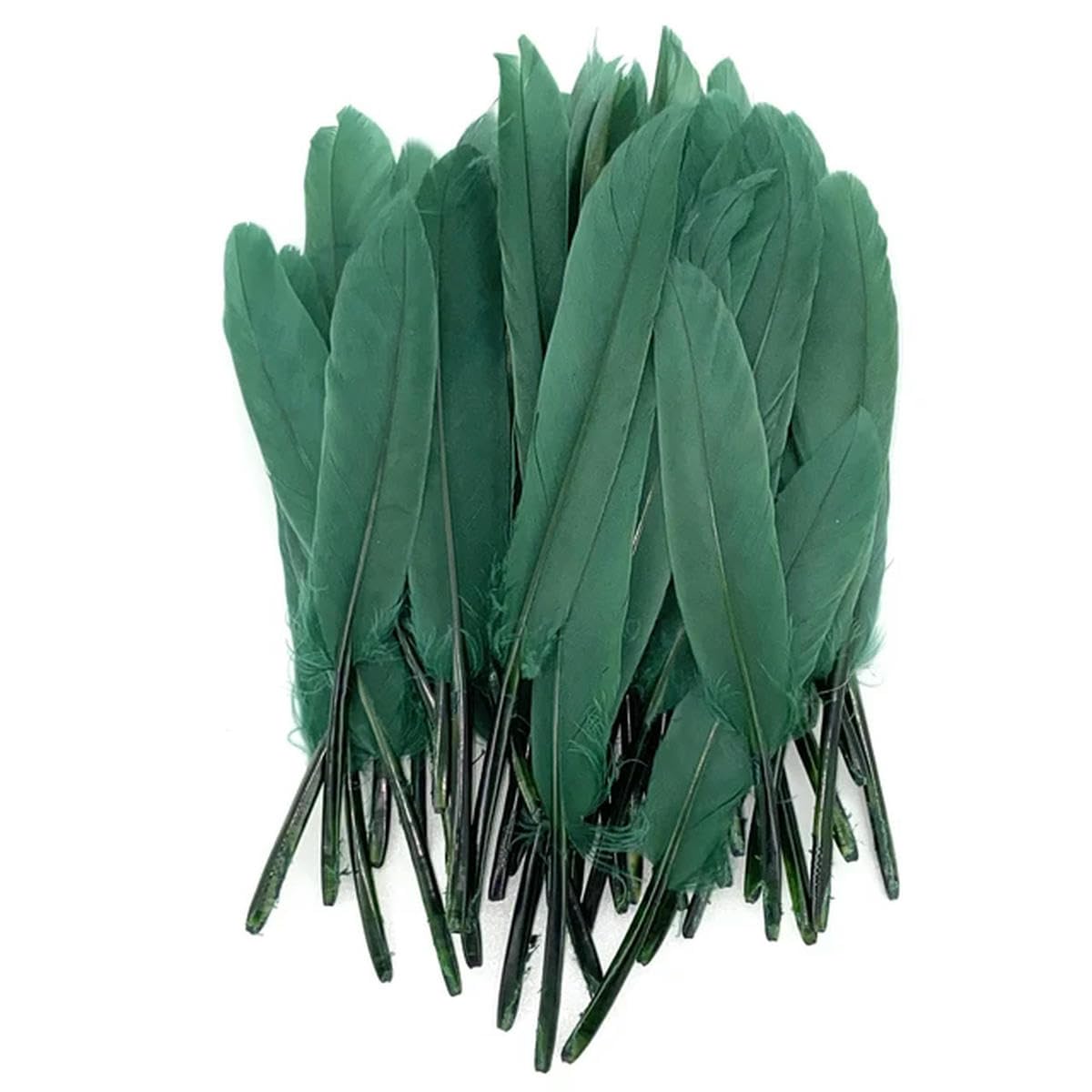 Vendita 20 Piume d'oca Blu da 8 - 15 cm | Addobbi Party
