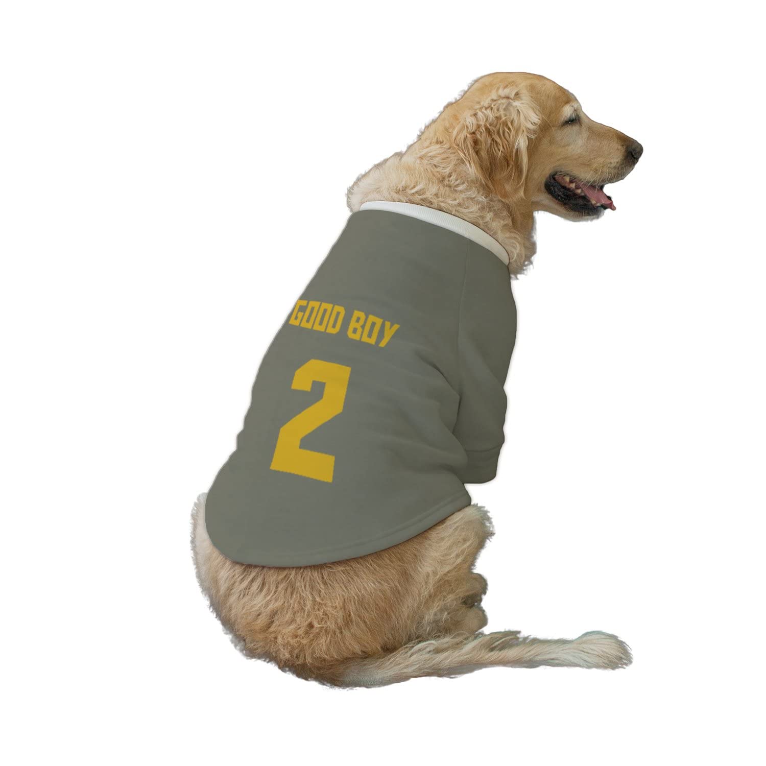 Ruse Pet Good Boy No.2 Printed Round Neck Full Sleeves Technical Dog Jacket for Dog Clothes Winter Apparel Gift for Dogs.Party Grey/X-Large (Full Grown Lab,Retriver Dane etc.) (B09MNKRPZQ) Amazon Price History, Amazon Price Tracker
