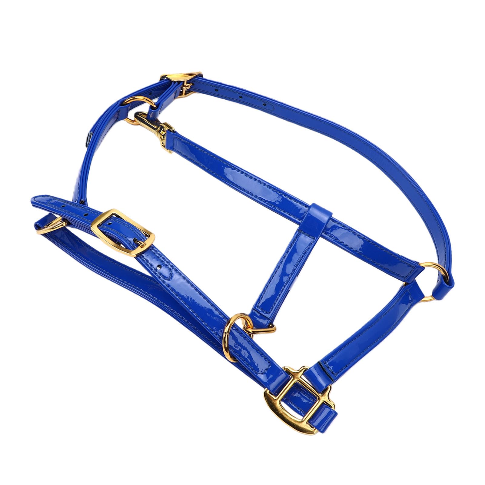 SIXRUN Briglia per Cavallo Testiera in Pelle Smaltata a Doppio Strato da 20 Mm con Fibbie Color Oro Resistente agli Odori Puntina Facile da Pulire per Allenamento Spettacoli di Equitazione