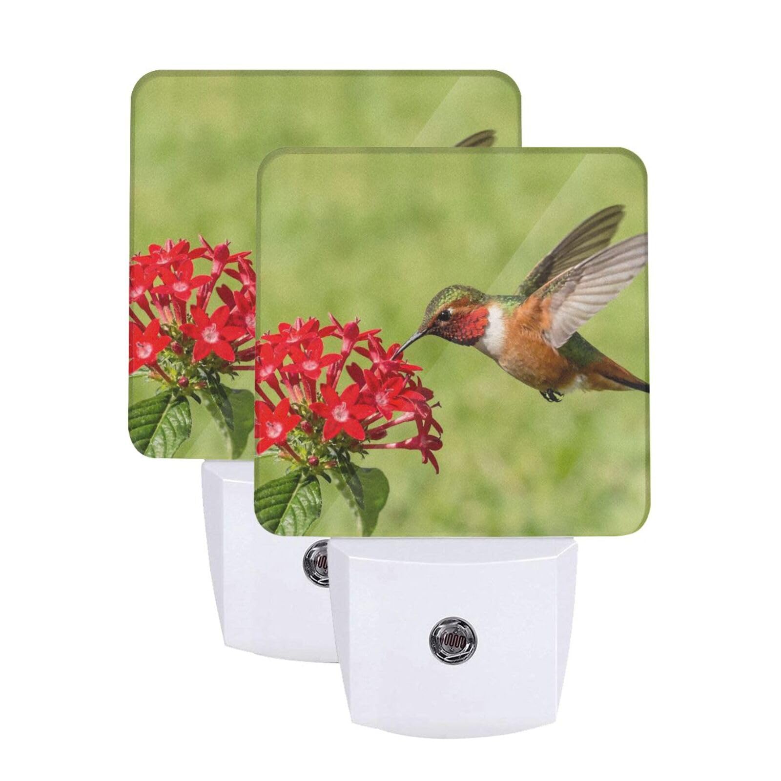 Spring Hummingbird Night Light Set of 2, Red Flowers Auto Sensor LED Dusk-to-Dawn Nightlights, Plug-in Sensor Lamp for Bedroom Bathroom Kitchen Hallway Stairs Decorative