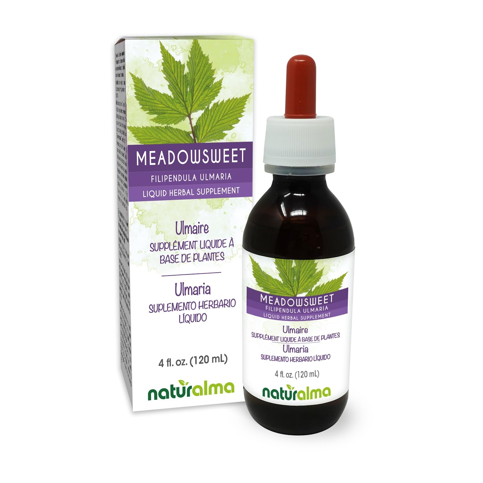 Naturalma Meadowsweet (Filipendula ulmaria or Spirea ulmaria) Flower Alcohol-Free Tincture - 4 fl oz Liquid Extract in Drops - Herbal Supplement - Vegan 4 Fl Oz (Pack of 1)