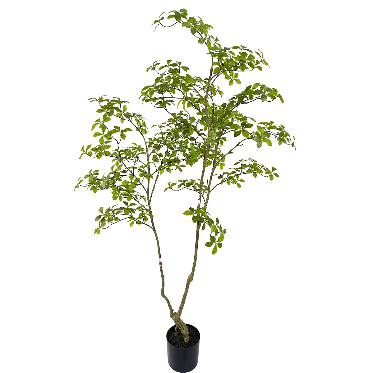 AfanD Artificial Gardenia Tree,6ft?1pack? Tall Fake Plants Artificial Mahonia fortunei Plants for Indoor, Fake Trees for Office Home Living Room Floor Patio Greening Porch Decor