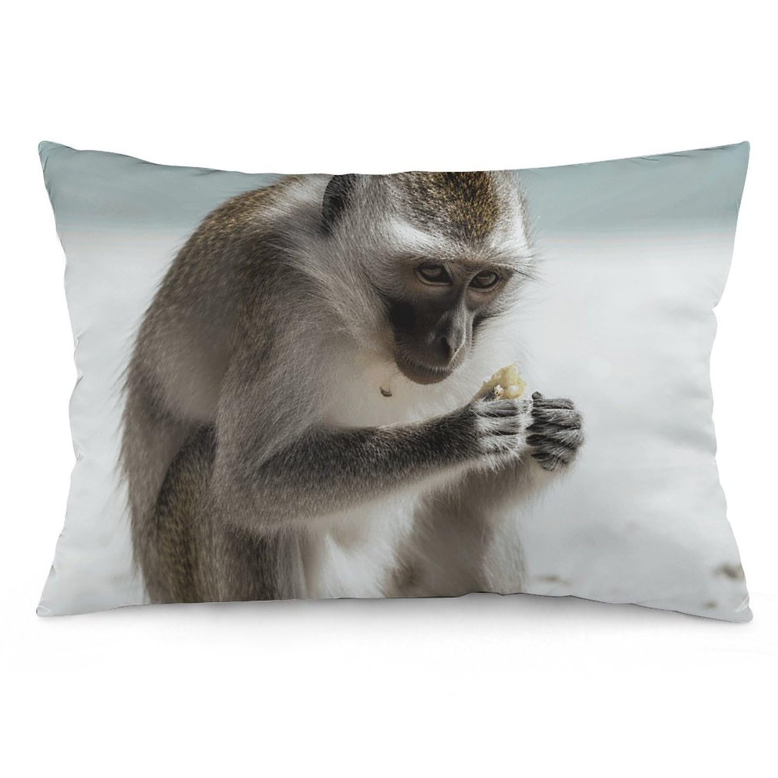 NTVOWPZO 2 Pack Decoration Throw Pillow Covers 12 "x20 Pillowcases Covers Monkey on The Ground Pillowcases Modern Farmhouse Home Decor Sofa Cushions Covers for Couch Bed Living Room