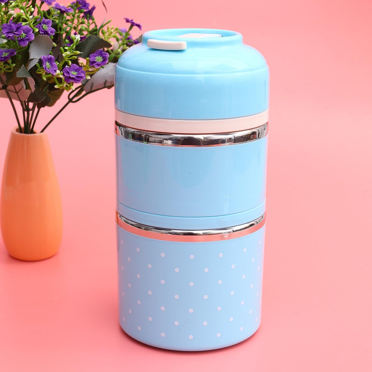 Alipis Boîte à Lunch en Acier Inoxydable 1, 8 L à Double Compartiment