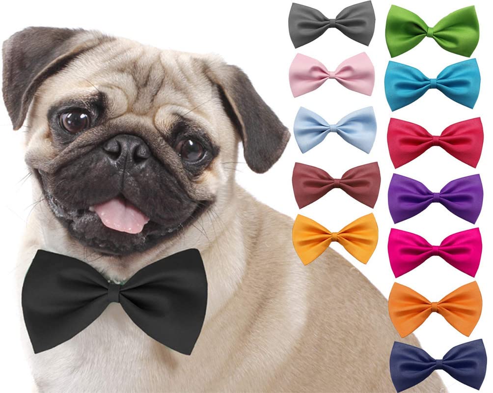 PSK PET MART Jumbo Size Adjustable Fashion Party, Function, Weeding Cum Formal Costume Neck Bow Tie Cum Necktie for Dog/Puppy/Cat/Kitten (1 Piece Random) (B09TFQGC85) Amazon Price History, Amazon Price Tracker