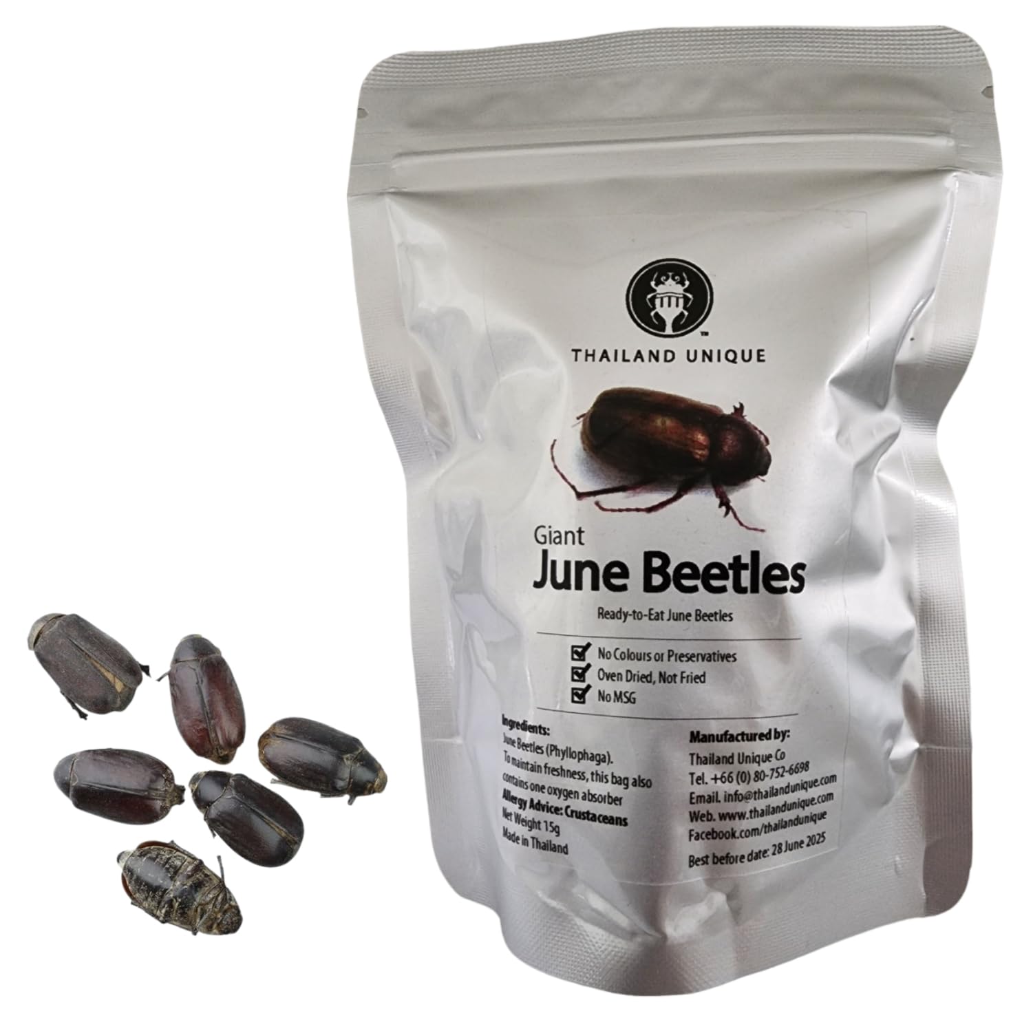 Amazon.com : Thailand Unique Giant June Beetles - 15 Gram Bag of