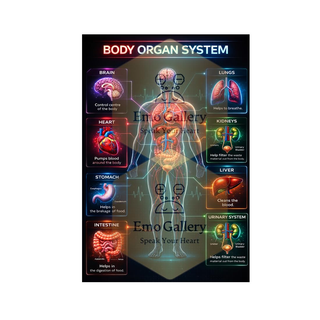 Emo Gallery Speak Your Heart Human Body Organ System Neon Chart Poster | Anatomy Educational Wall Chart for Clinic, Hospital & School | Medical Wall Decor 48 Cm X 33 Cm Waterproof, Oilproof-picture-31