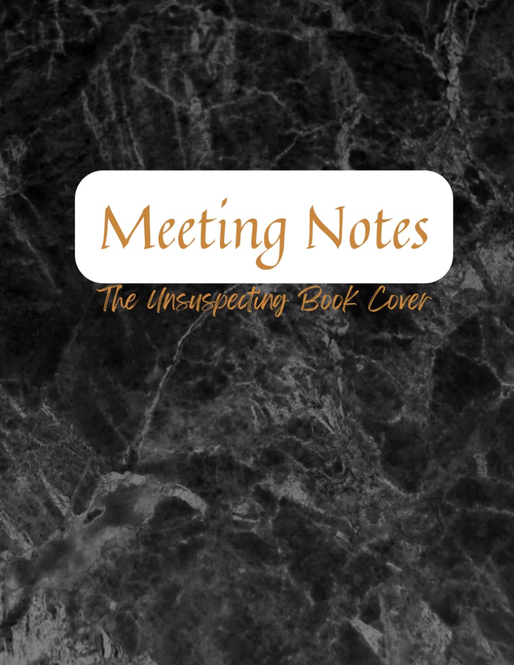 Another F*cking Meeting: The Hilarious and Practical Survival Guide ...