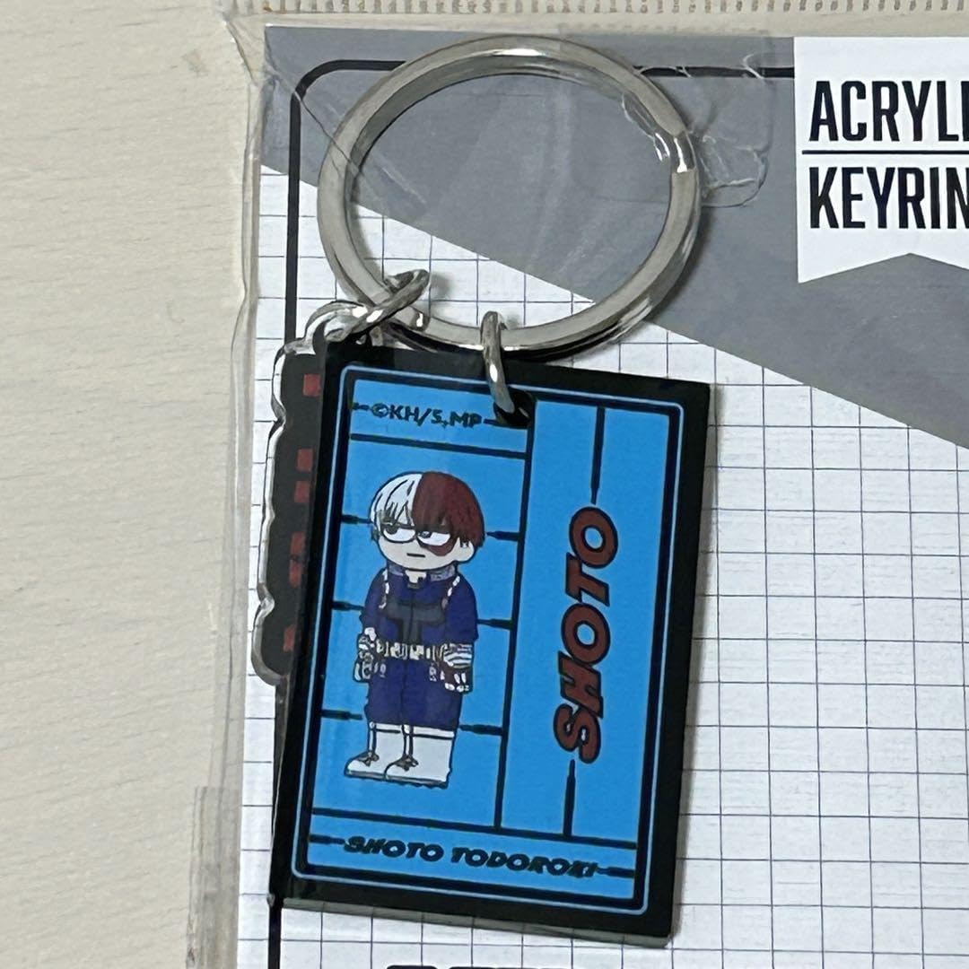 ヒロプラ 轟 31個セット 000000000044_c8HePgu.jpg