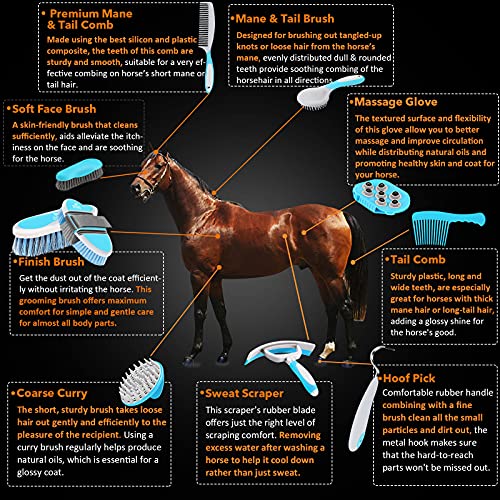 Harrison Howard Horse Grooming Equipment 11Piece Equine Care