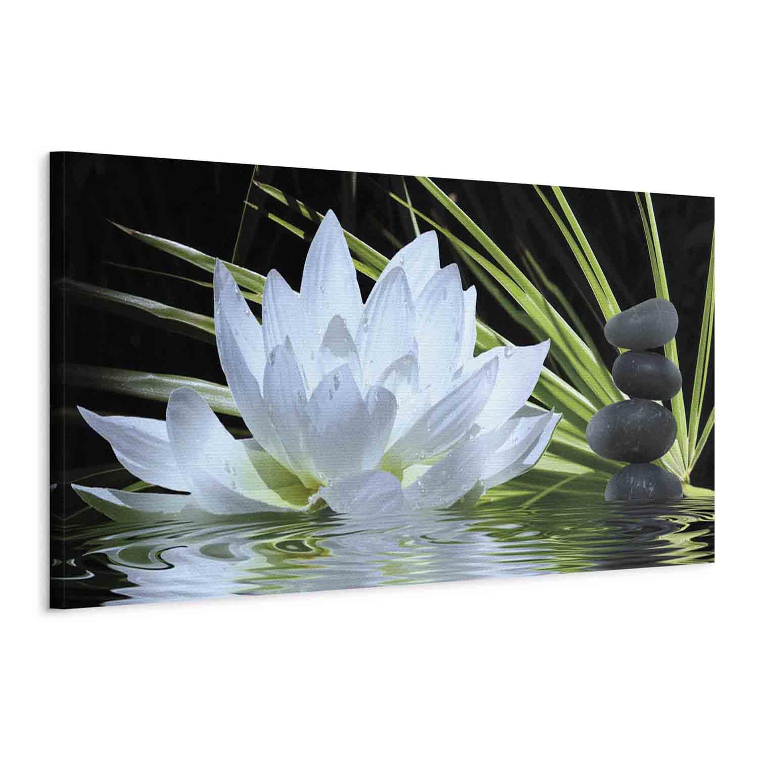 murando - Cuadro en Lienzo Flores lirios de agua 120x40 cm 1 pieza - Impresión en material tejido no tejido cuadros decoracion salon modernos lienzos decorativos dormitorios - Spa b-B-0272-b-a