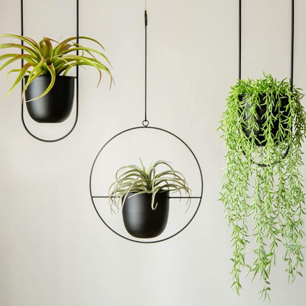 Amazon.co.jp: メタルハンギングプランター 壁と天井の植物フラワー