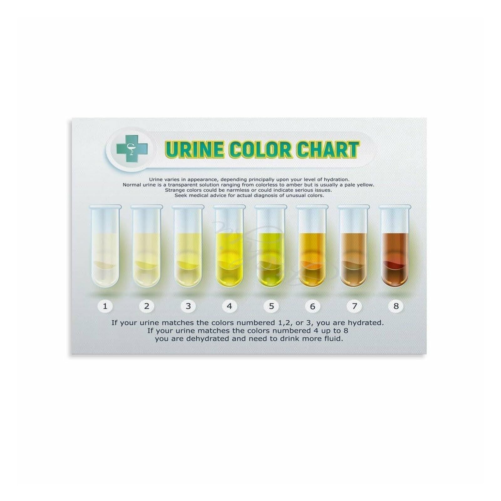 FNYUVNFAF Health Awareness Poster Urine Color Chart Reference for Clinic Bathroom or Education Unframed,16X24inch(40X60cm)