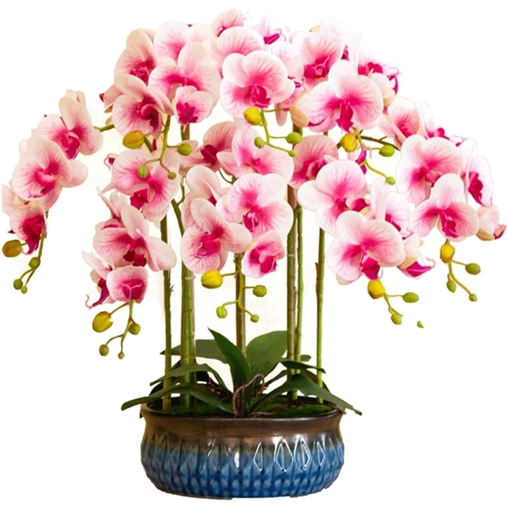 XDLEDMKIZ Orchid Artificial Flowers Artificial Phalaenopsis Flowers Arrangement Ceramic Vase Faux Orchids Large Arrangement of Artificial Flowers Decorate natural look