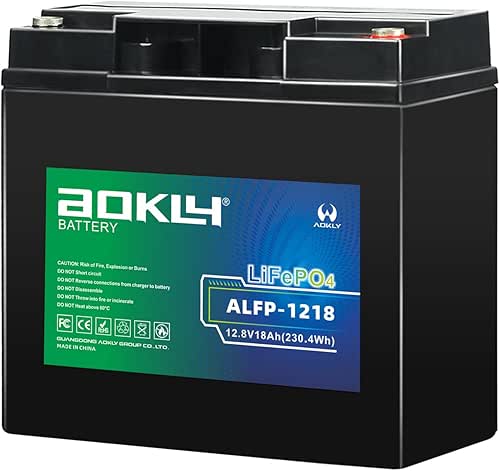 AOKLY 12V 18Ah Lithium Ion Rechargeable LiFePO4 Battery (Bolt Terminals)