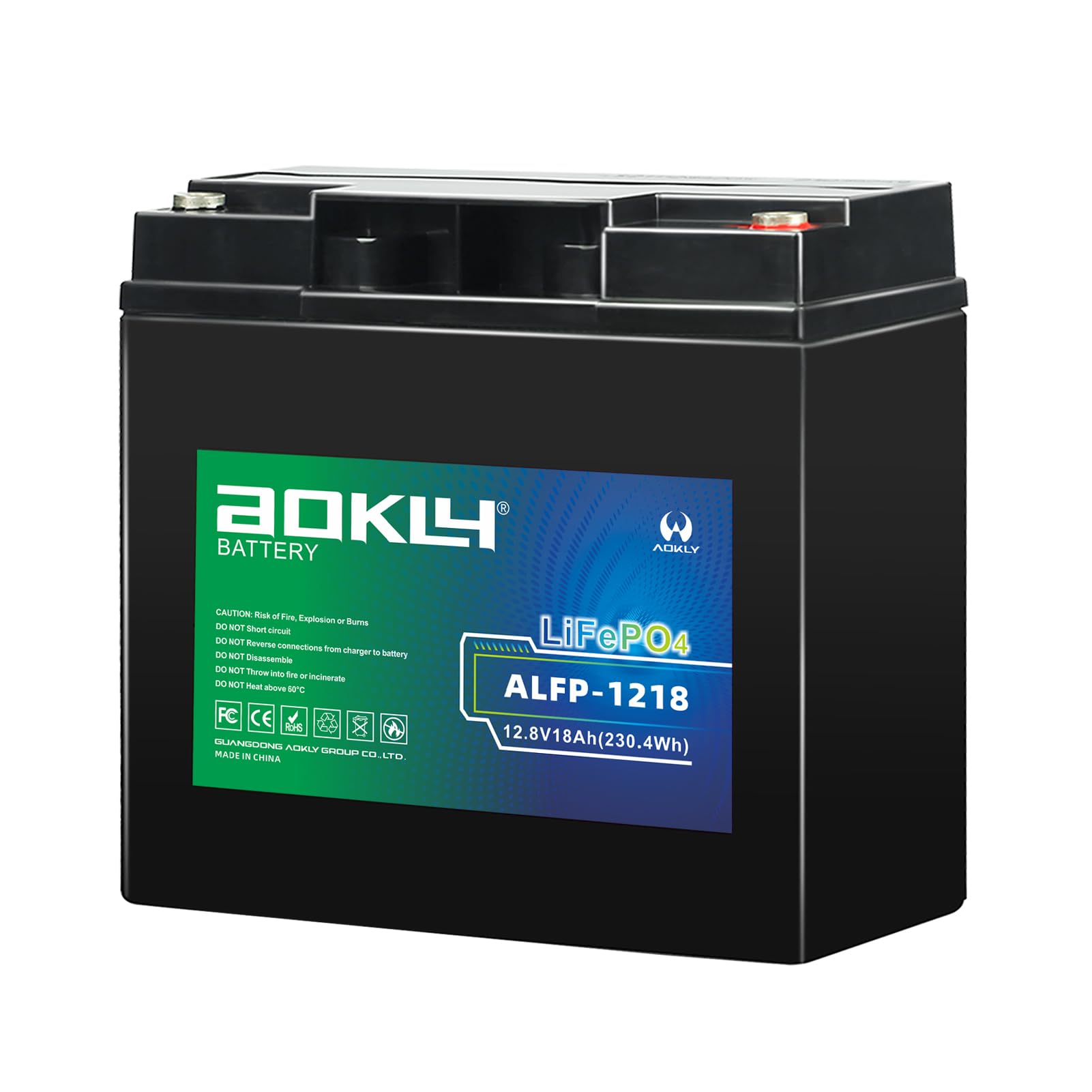 12V 18Ah Battery, Rechargeable 12Volt 18Ah Lithium Battery for Kids Ride On Toys, Camping, Backup Power (Bolt Terminals M6)