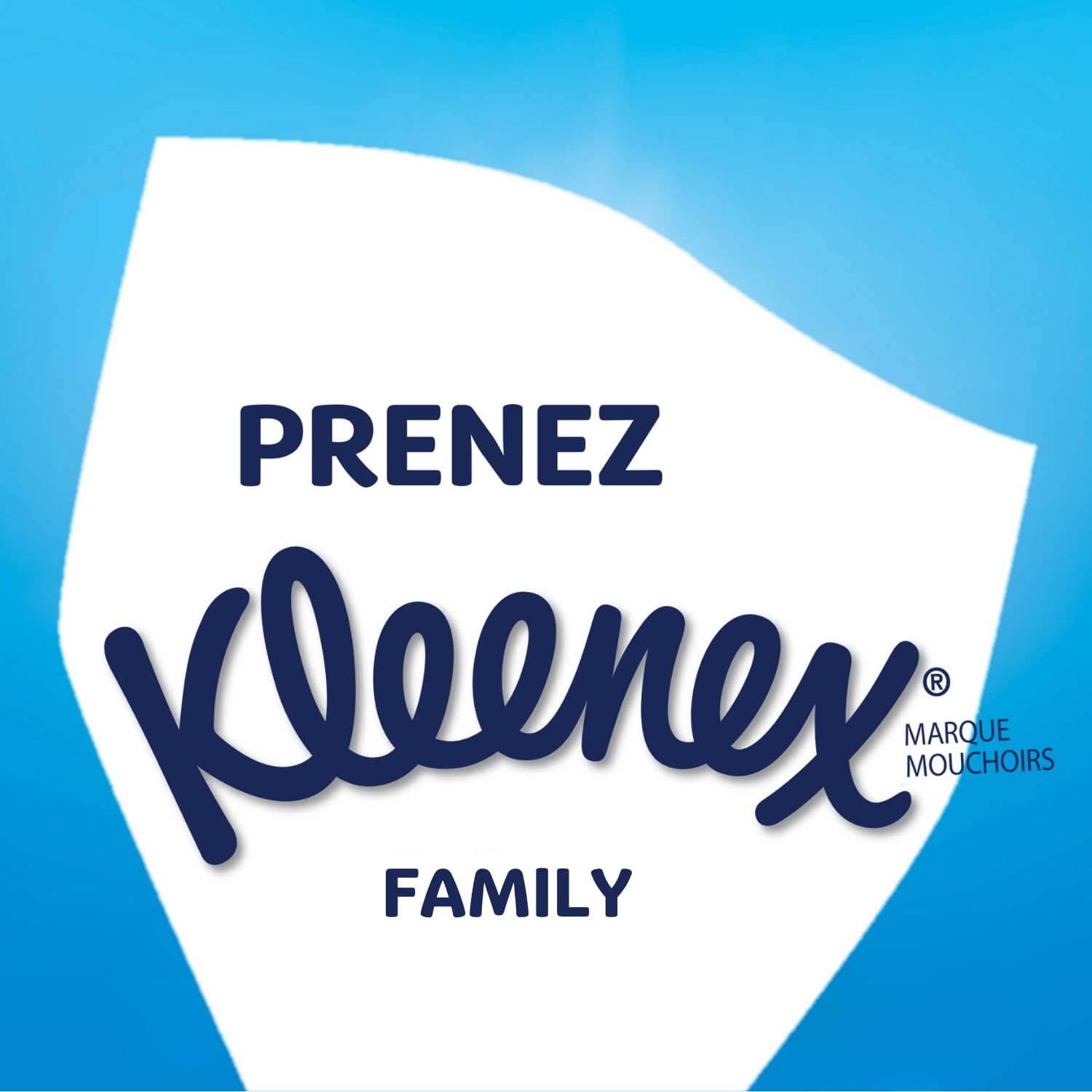 Kleenex Pañuelos de Papel Caja Family 15x128 1920 pañuelos