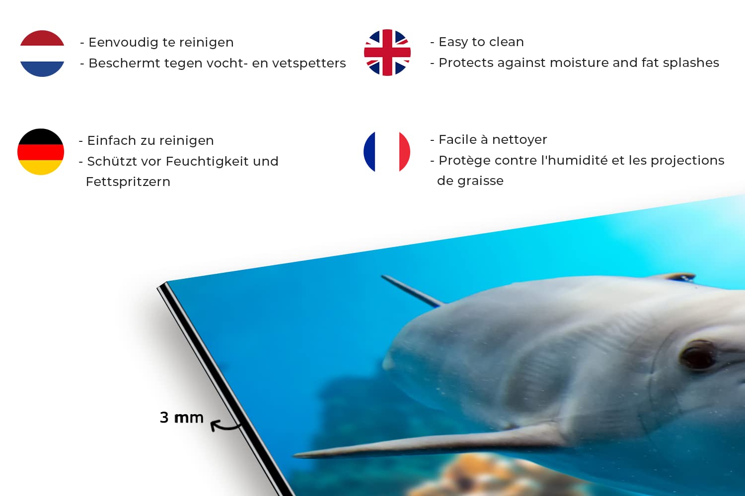 Credence Cuisine Aluminium 100x65 Cm - Motif Mer Poissons Corail - Protection Murale Anti-éclaboussures Et Facile à Nettoyer