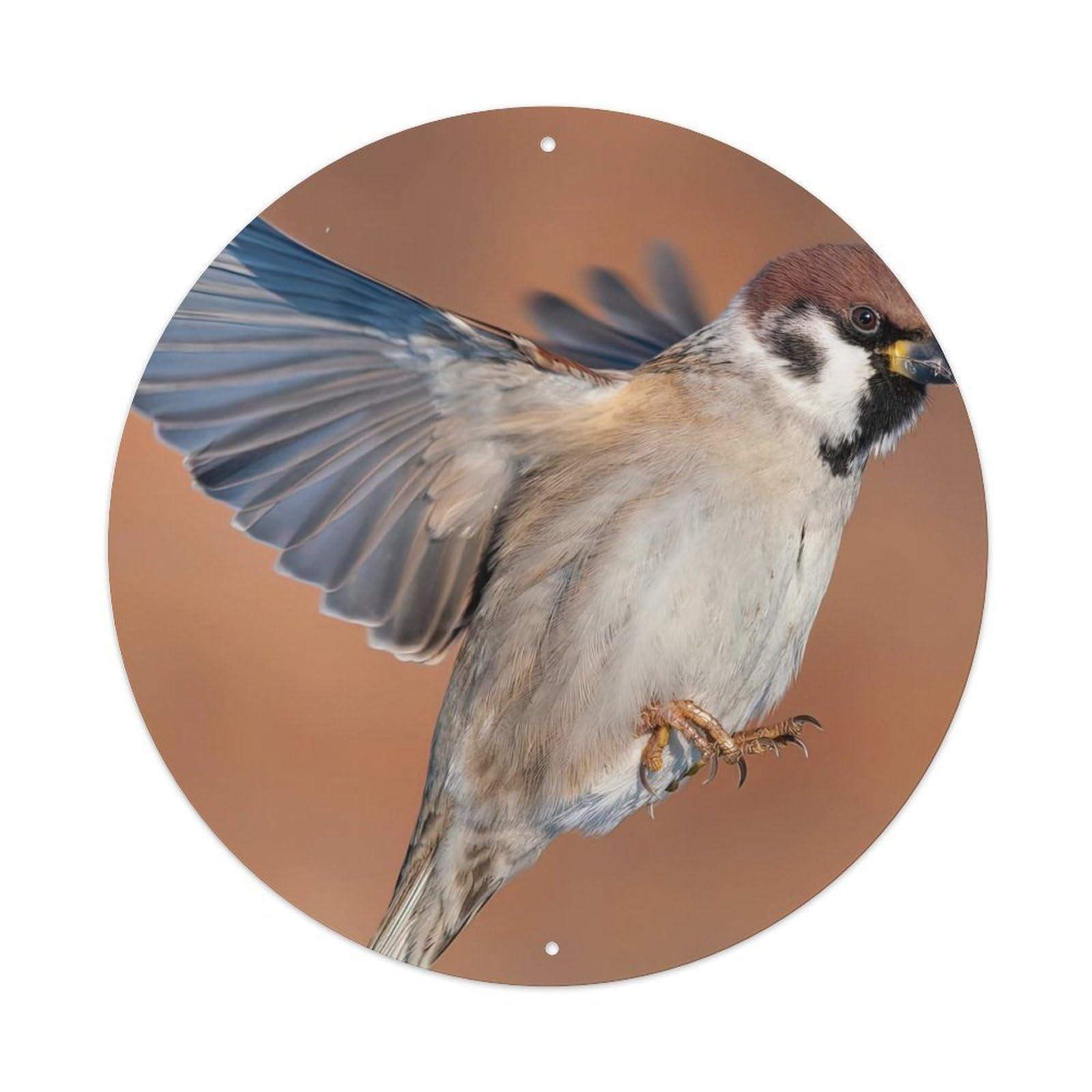 Animal Birds Flying Sparrow Vintage Metal Tin Sign Plaque Wall Decor for Cafe, Club Bar, Office, Garden Metal Poster 8x8Inch