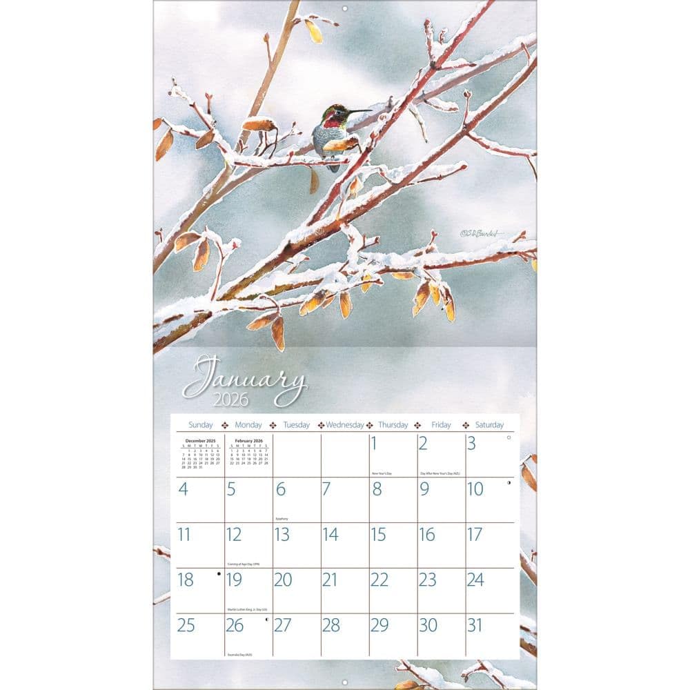 Lang, Calendario de pared 2026 de Colibríes por Susan Bourdet